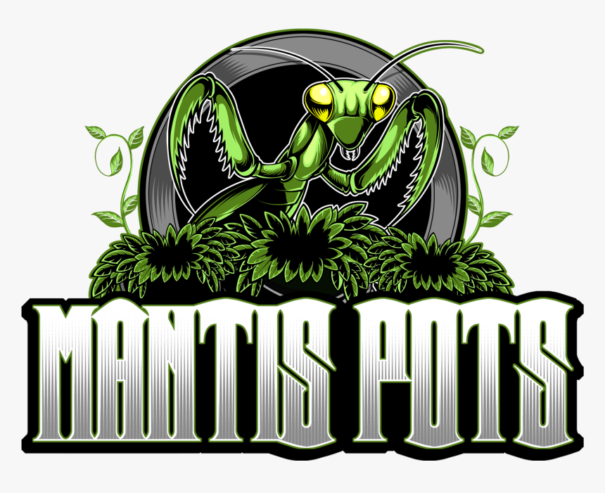 Mantis Pots - Graphic Design, HD Png Download, Free Download