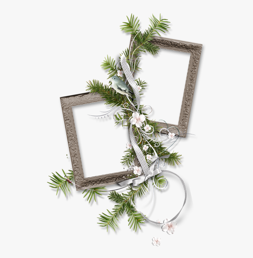 Scrap, Digital, Png Photo, Christmas, Borders And Frames, - Picture Frame, Transparent Png, Free Download