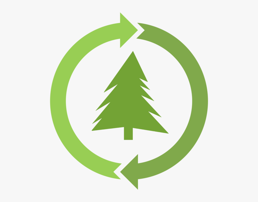 Transparent Tree Symbol Png - Save The Planet Company, Png Download, Free Download