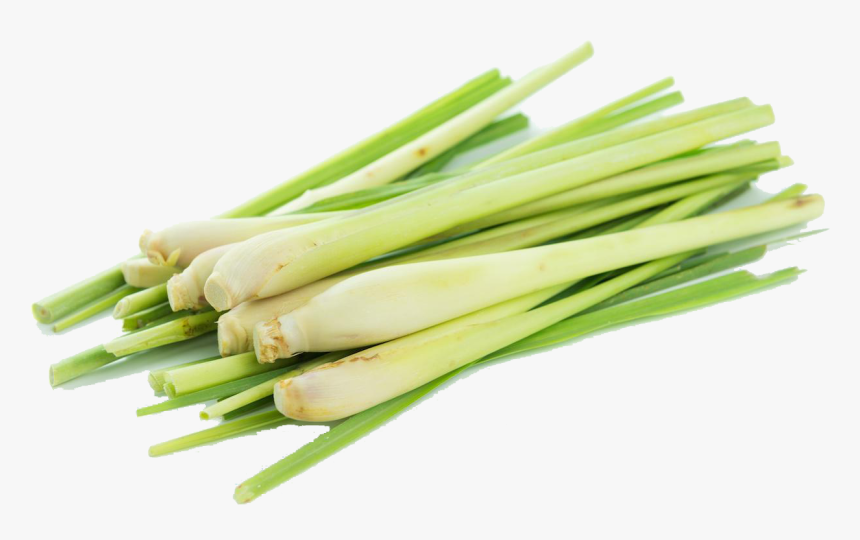 Lemon Grass Vegetables, HD Png Download, Free Download