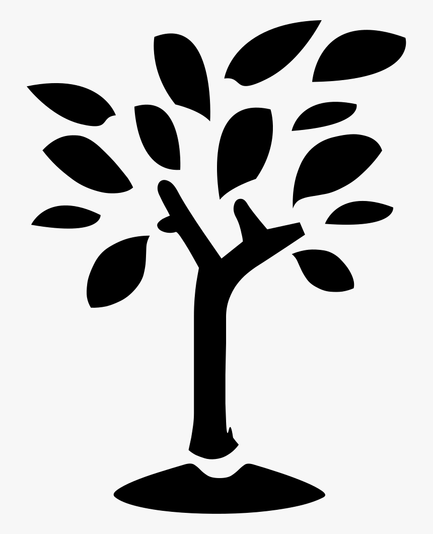 Tree - Icon, HD Png Download, Free Download