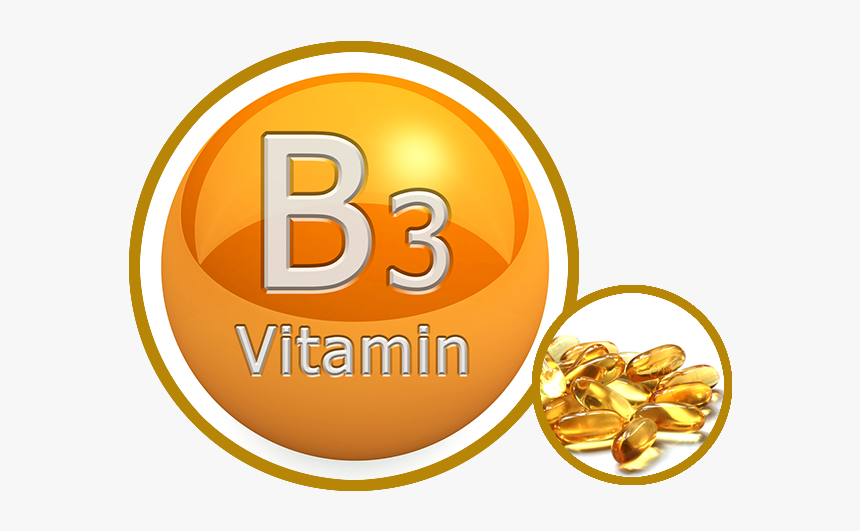 Thumb Image - Vitamin B 3, HD Png Download, Free Download