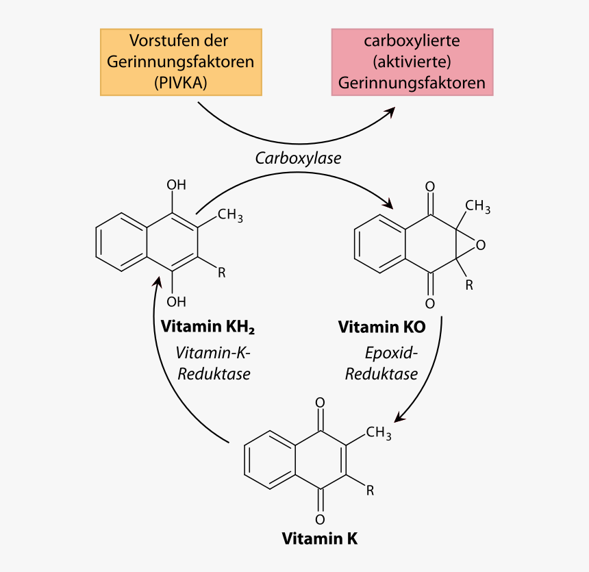 Vitamin K1 And K2, HD Png Download, Free Download