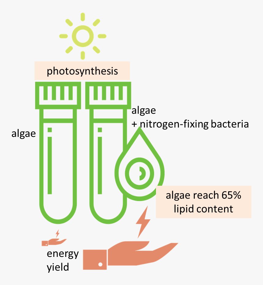 Graphic Design, HD Png Download, Free Download