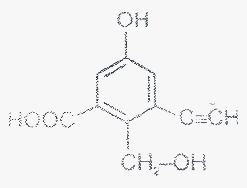 Diagram, HD Png Download, Free Download