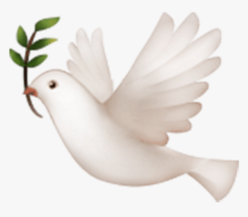 #palomas - Rest Easy, HD Png Download, Free Download