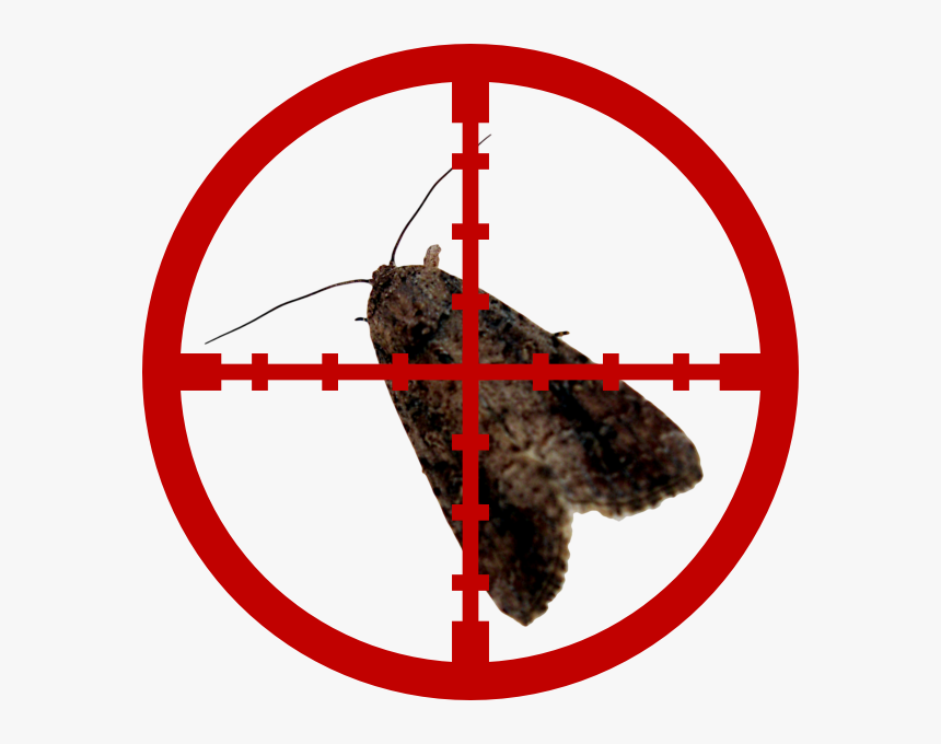 Moths - Crosshair Png, Transparent Png, Free Download