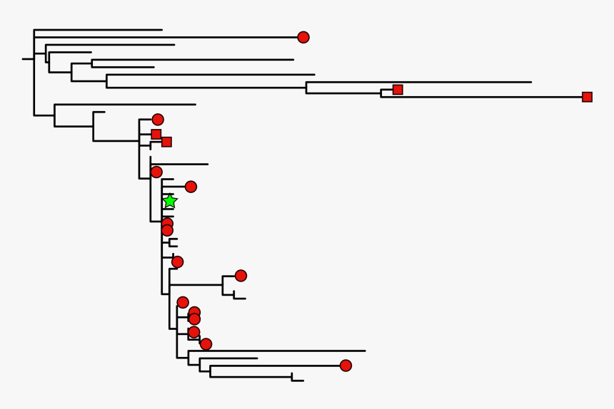 Diagram, HD Png Download, Free Download