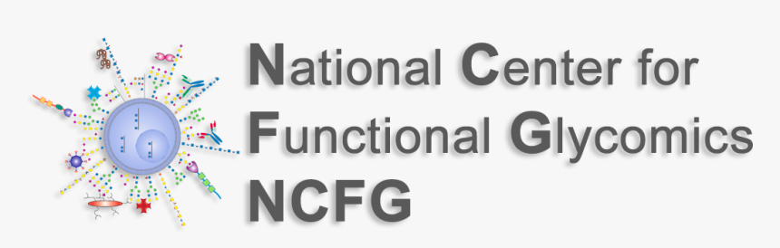 University Logo - National Center For Functional Glycomics, HD Png Download, Free Download