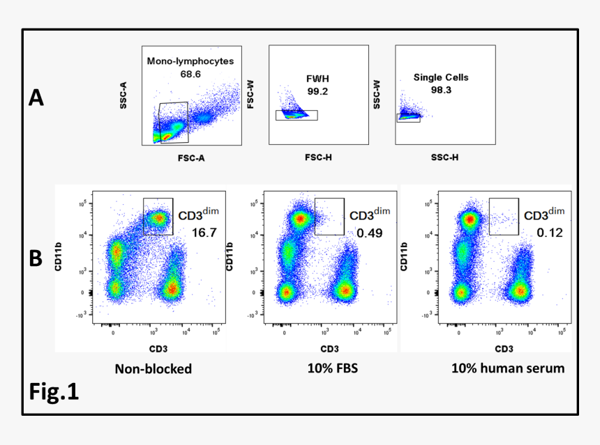 Screenshot, HD Png Download, Free Download