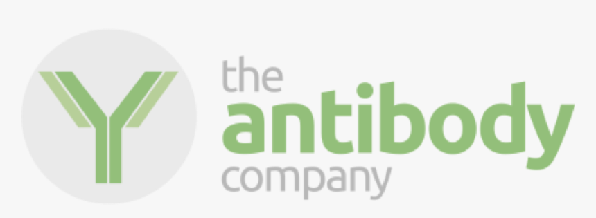 The Antibody Company Logo - Graphic Design, HD Png Download, Free Download