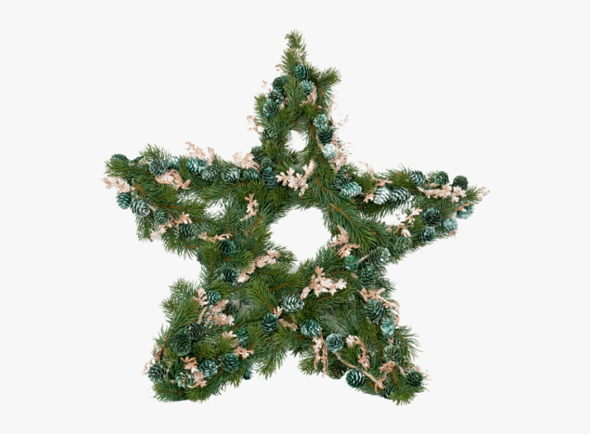 Christmas Star Xd6639 - Christmas Tree, HD Png Download, Free Download
