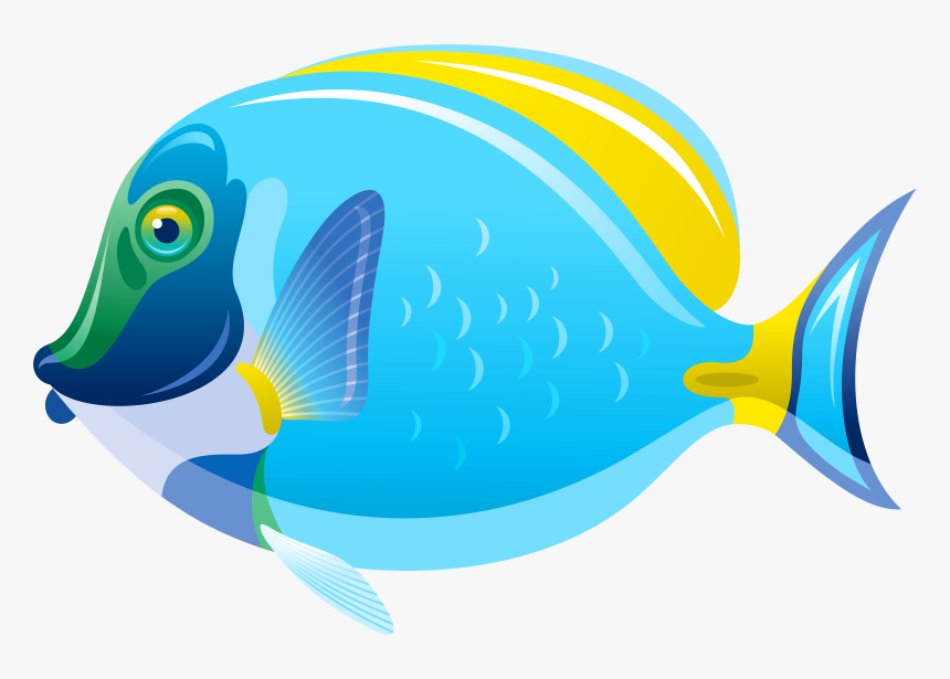 Saltwater Fish Clip Art - Transparent Background Fish Clipart, HD Png Download, Free Download