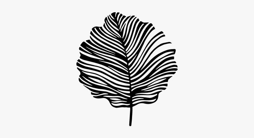 Illustration Aspen Leaf, HD Png Download, Free Download