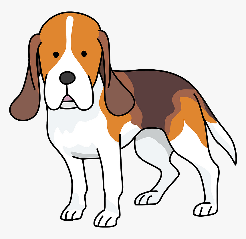 Beagle Dog Clipart - Beagle-harrier, HD Png Download, Free Download