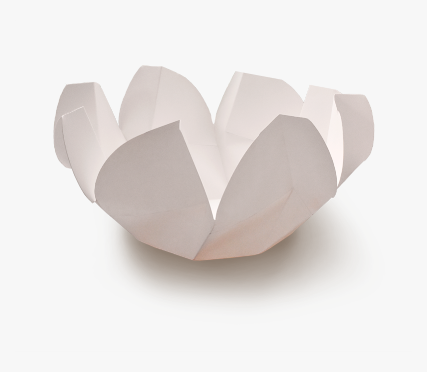 Magnolia Side Open - Construction Paper, HD Png Download, Free Download
