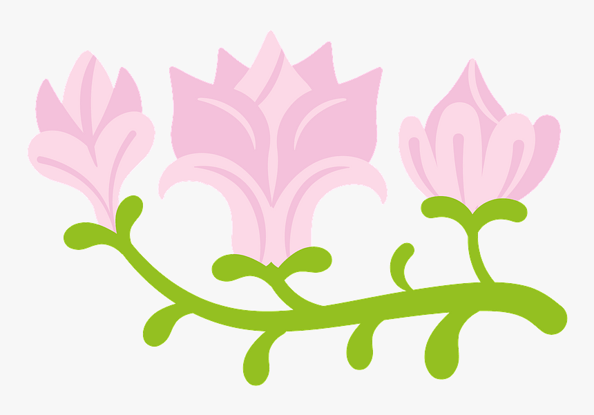 Magnolia Clipart, HD Png Download, Free Download