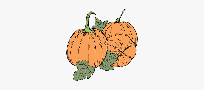 Pumpkin Patch Clipart - Pumpkin, HD Png Download, Free Download