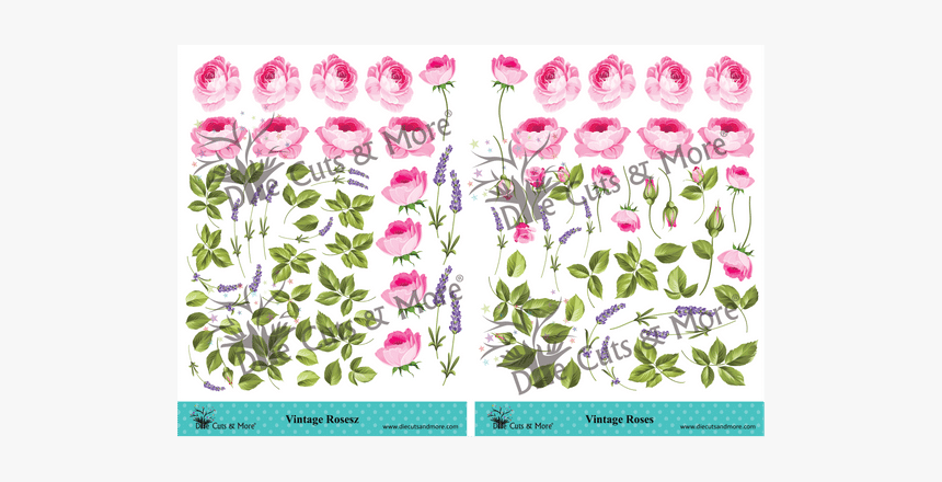 Vintage Roses - Orchid, HD Png Download, Free Download