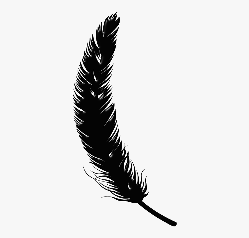 Feather Silhouette, HD Png Download, Free Download