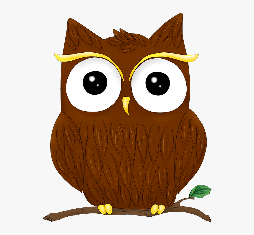Cute Owl On Branch Clipart - Owls, HD Png Download, Free Download