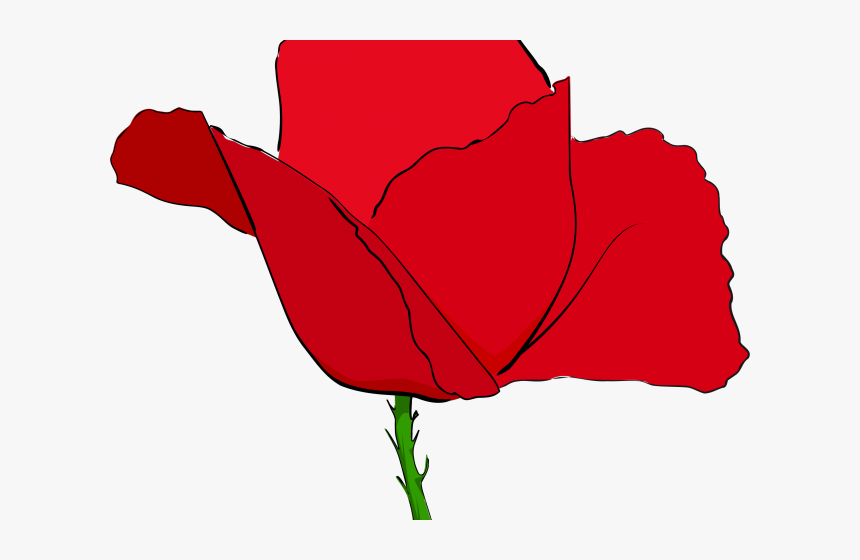 Transparent Princess Poppy Png - Common Poppy, Png Download, Free Download