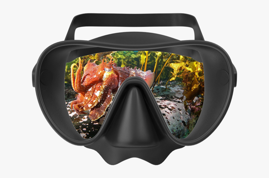 Cuttle - Meat, HD Png Download, Free Download