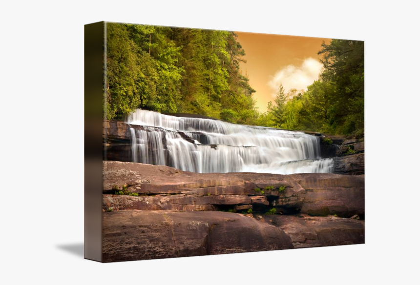 Hd Pc - Dupont State Forest, HD Png Download, Free Download