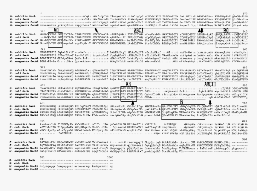 Document, HD Png Download, Free Download