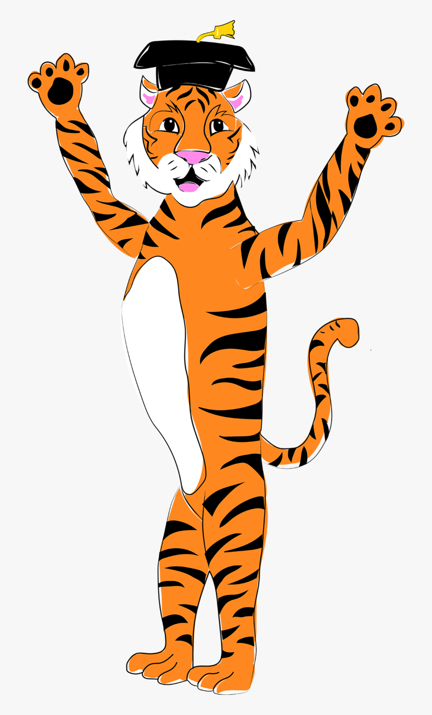 Tiger With Graduation Cap, HD Png Download, Free Download