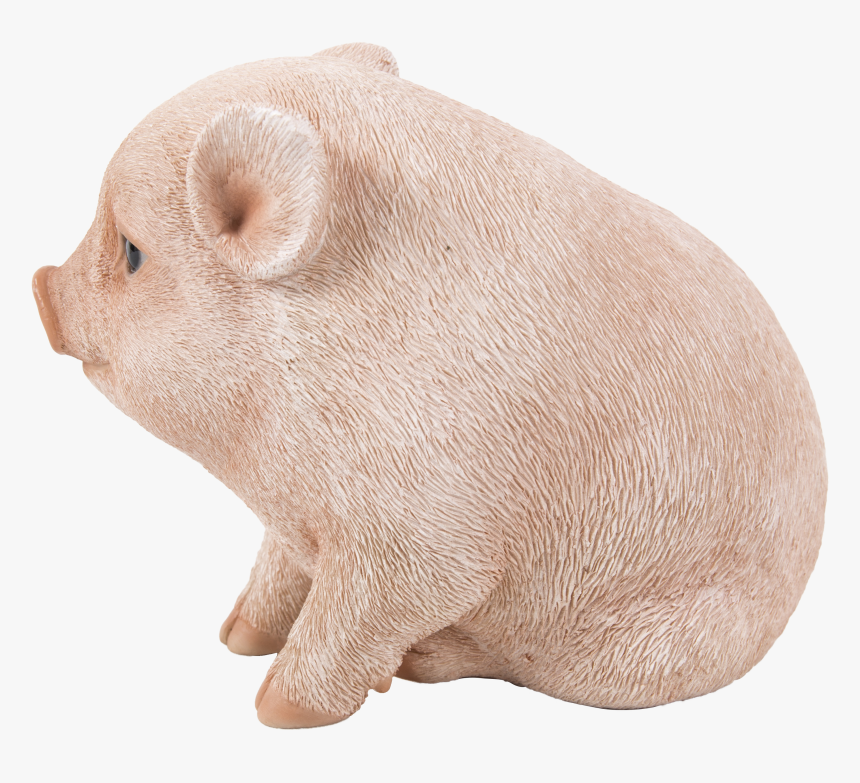 Png Women Breastfeeding Piglets - Domestic Pig, Transparent Png, Free Download