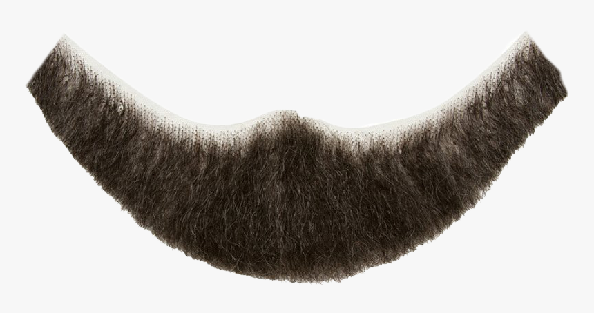 Short Beard Png, Transparent Png, Free Download