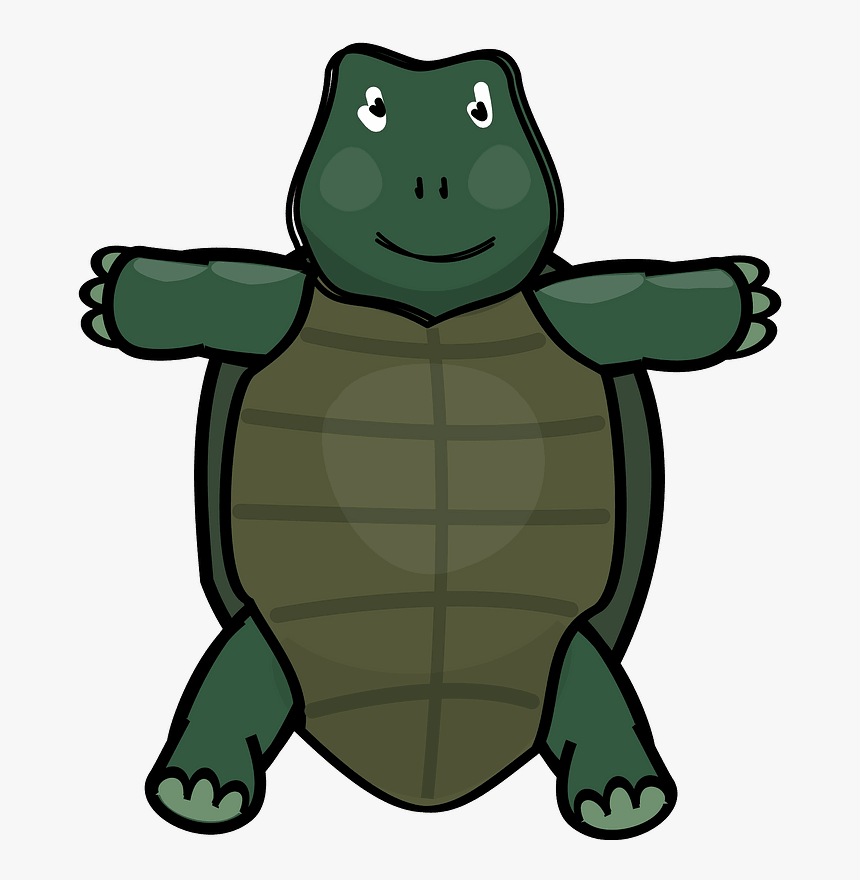 Cute Turtle Clipart - Cartoon, HD Png Download, Free Download