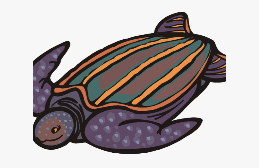 Sea Turtle Clipart Pond Turtle - Cartoon Leatherback Turtle Drawing, HD Png Download, Free Download