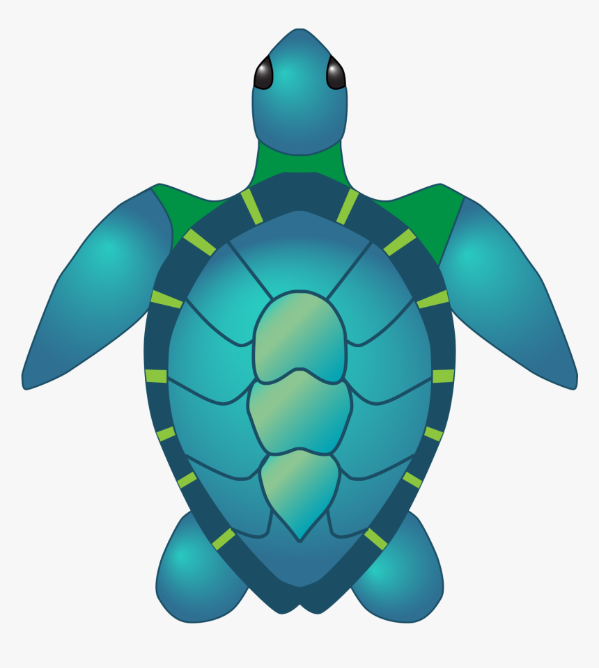 animated sea turtles