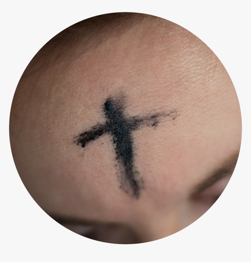 Photo 1518621603954 Ca2068e1d71d, HD Png Download, Free Download