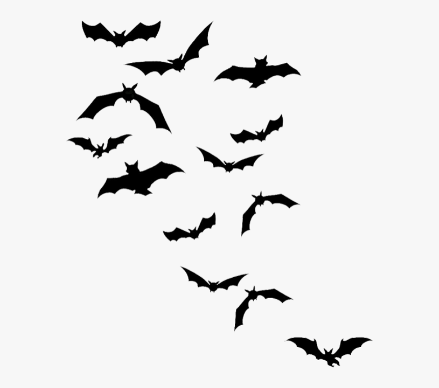 Chauves-souris Png, Tube Halloween - Bat Silhouettes, Transparent Png, Free Download