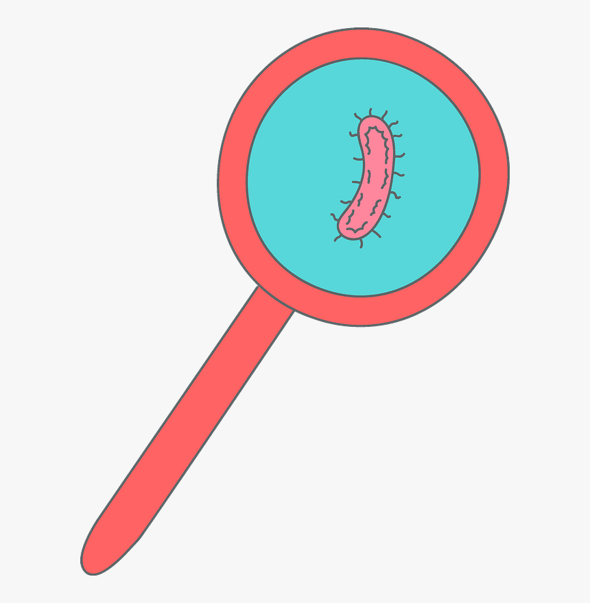 Bacteria In A Magnifying Glass Clipart, HD Png Download, Free Download
