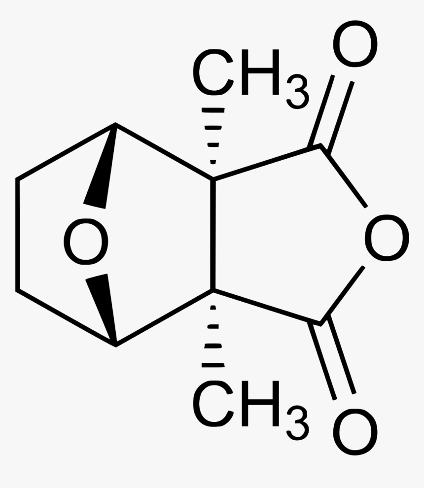 4 Nitrophthalimide, HD Png Download, Free Download