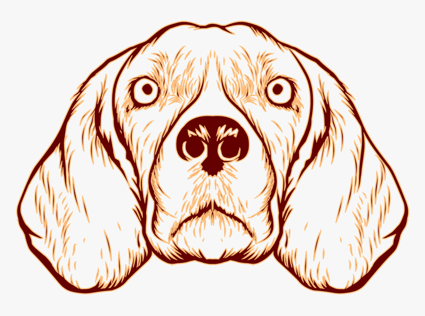 Cocker Spaniel, HD Png Download, Free Download