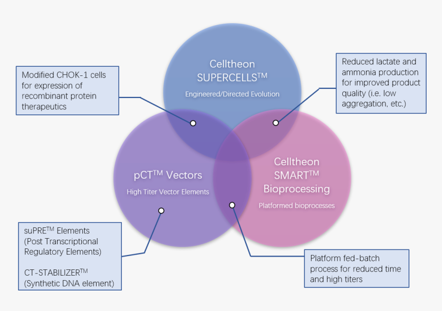 Diagram, HD Png Download, Free Download