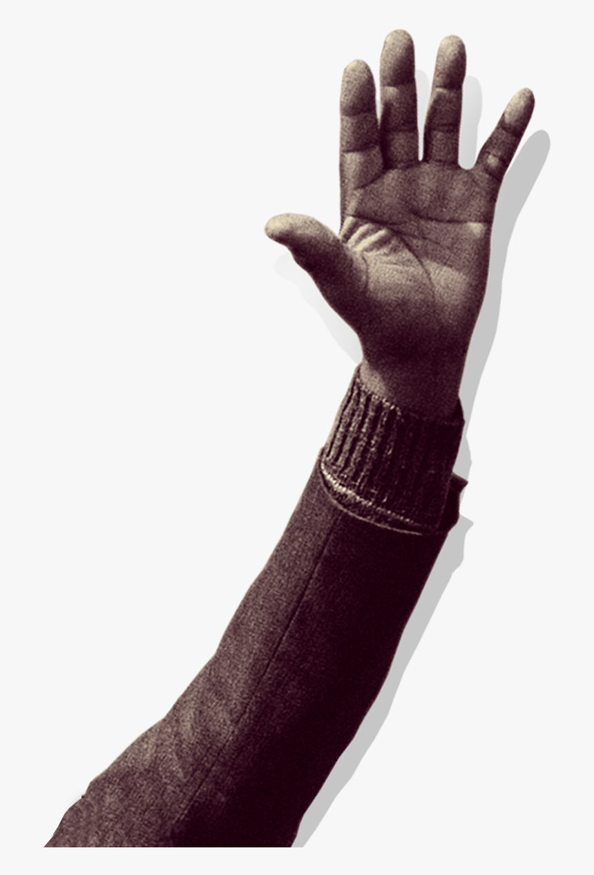 Transparent Back Of Hand Png - Thumb, Png Download, Free Download