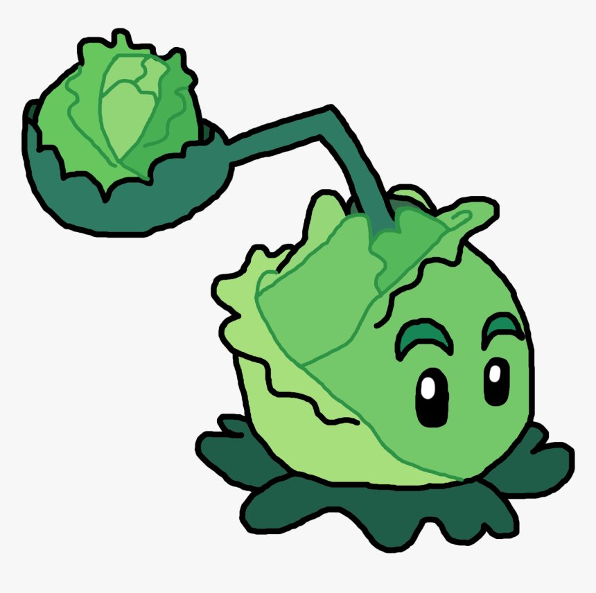 Picture Library Cabbage Drawing Water - Pvz Plants Vs Zombie Characters, HD Png Download, Free Download