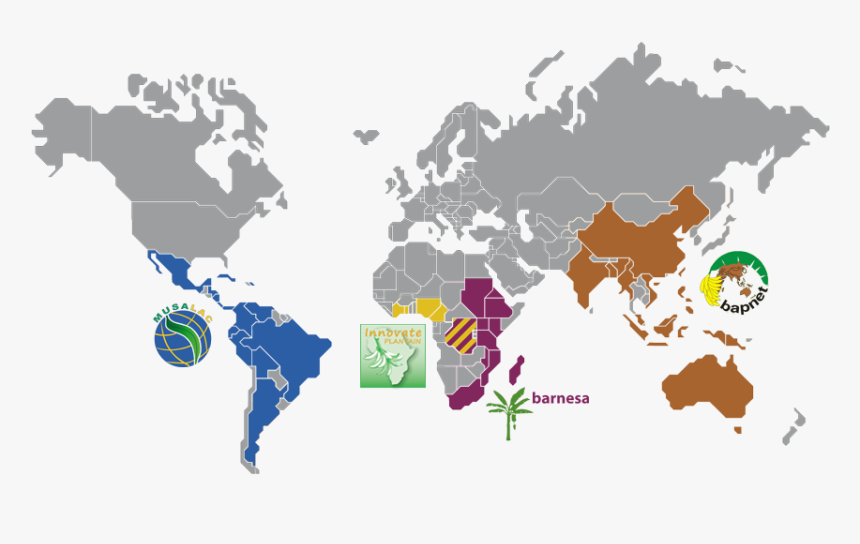 Banana Networks - World Map, HD Png Download, Free Download