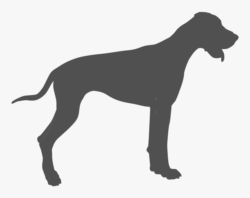 Kennel Club Good Citizen Awards Clipart , Png Download - Dog Vector, Transparent Png, Free Download