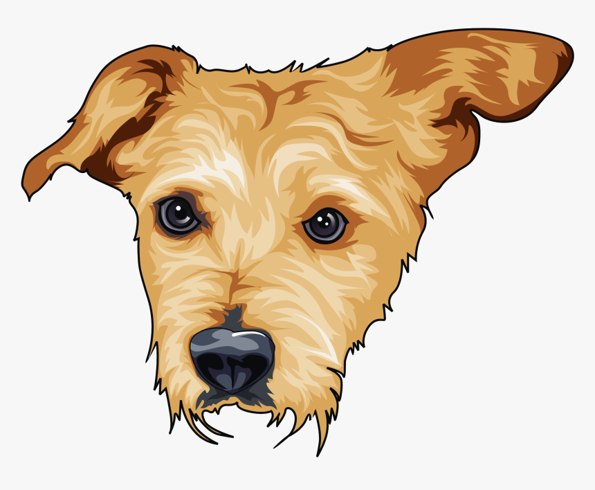 Airedale Terrier, HD Png Download, Free Download