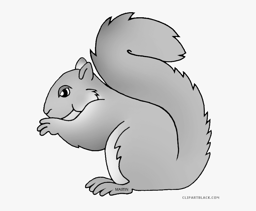 Grey Squirrel Clipart Grey Squirrel Clipart Grey Squirrel - Cute Grey Squirrel Clipart, HD Png Download, Free Download