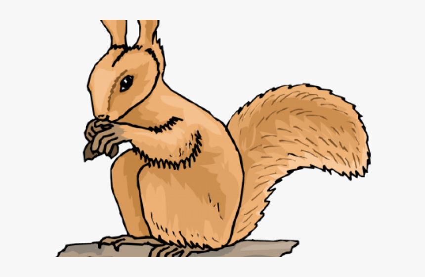 Transparent Squirrel Clip Art - Clip Art, HD Png Download, Free Download