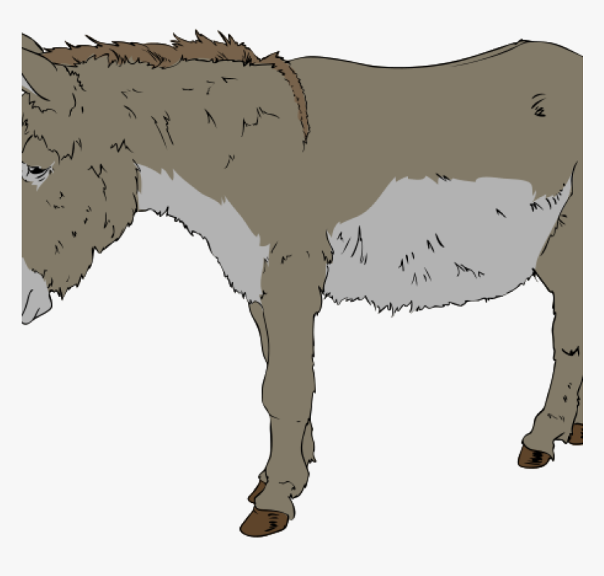 Transparent Donkey Shrek Png - Free Clipart Donkey, Png Download, Free Download