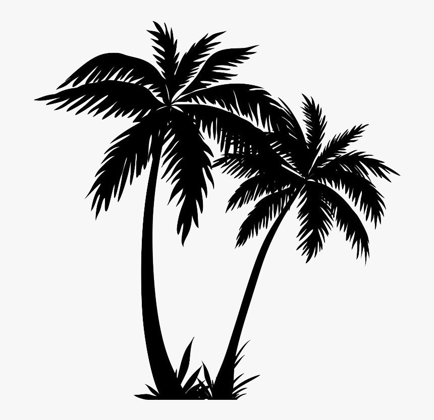 Silhouette Palm Trees Clip Art Drawing Vector Graphics - Palm Tree Silhouette Transparent, HD Png Download, Free Download